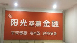 福建省莆田陽(yáng)光圣嘉金融服務(wù)外包公司 專(zhuān)業(yè)金融外包服務(wù)的領(lǐng)航者